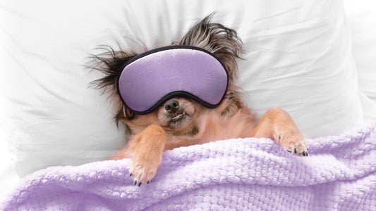 Feeling Stuck? How to “Un-Snooze” Your Marketing